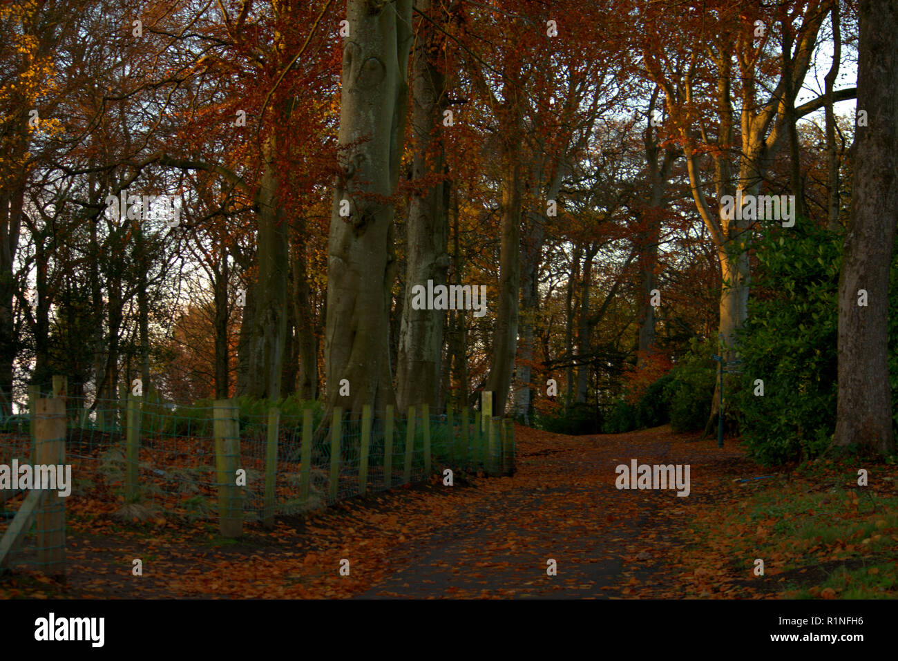 Belleisle Park, Ayr, Scotland in autumn colours Stock Photo