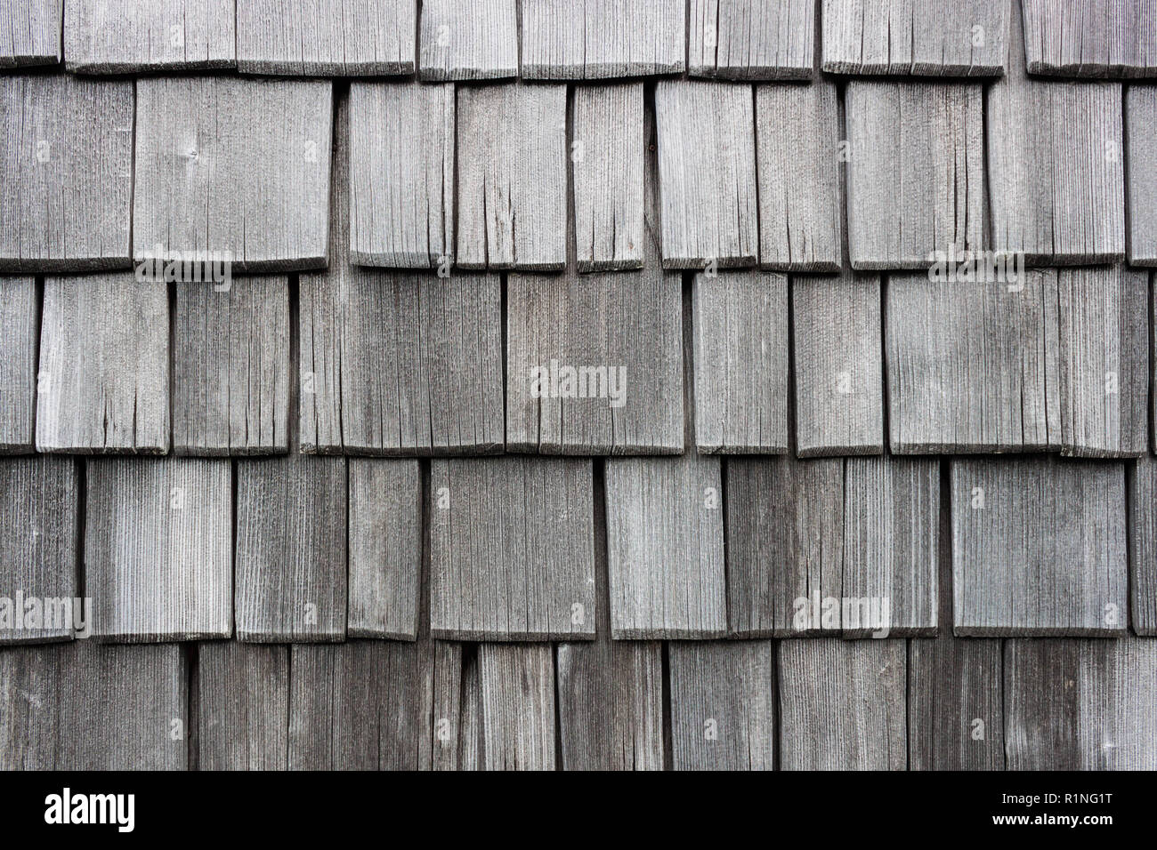 Wood shingle wall siding made of larch. Old, discolored and worn by weather shingles