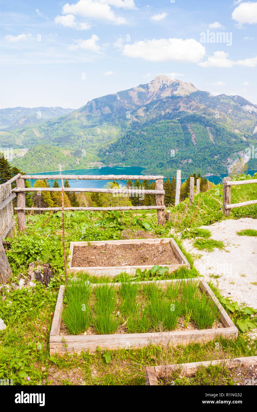 Wooden garden beds for growing herbs and vegetables high in Apls with a view of alpine lake and mountains. Organic alpine gardening. Stock Photo