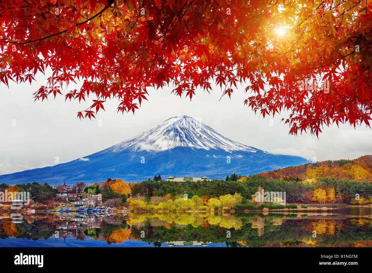 Autumn Season and Mountain Fuji at Kawaguchiko lake, Japan