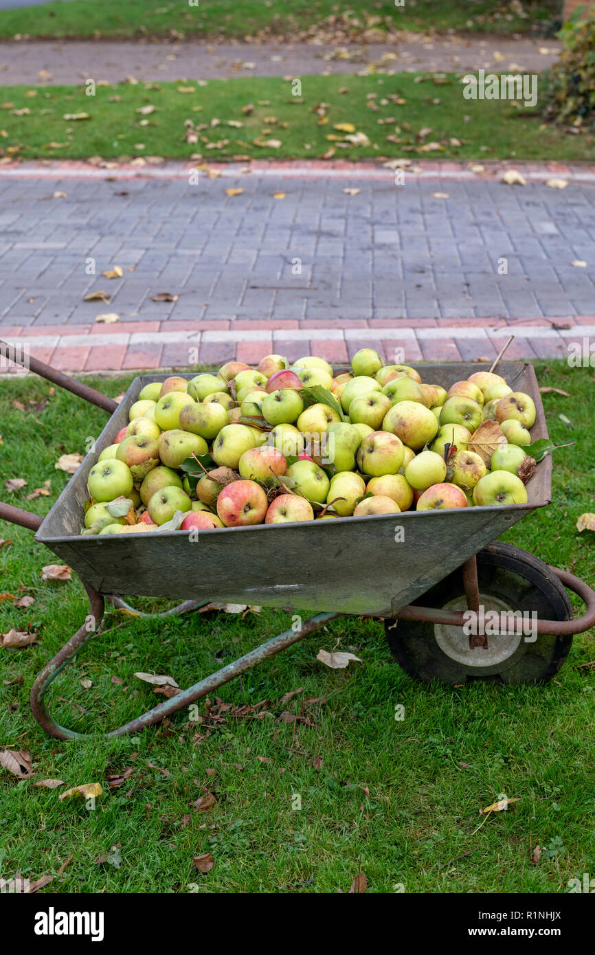 Wheelbarrow fruit hires stock photography and images Alamy