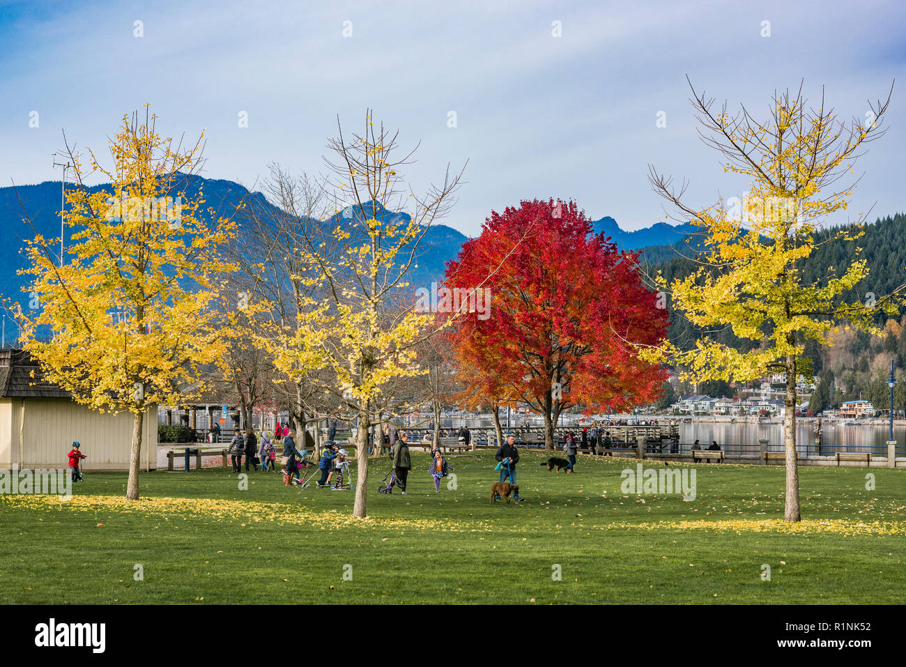 Fall colour, Rocky Point Park, Port Moody, British Columbia, Canada. Stock Photo