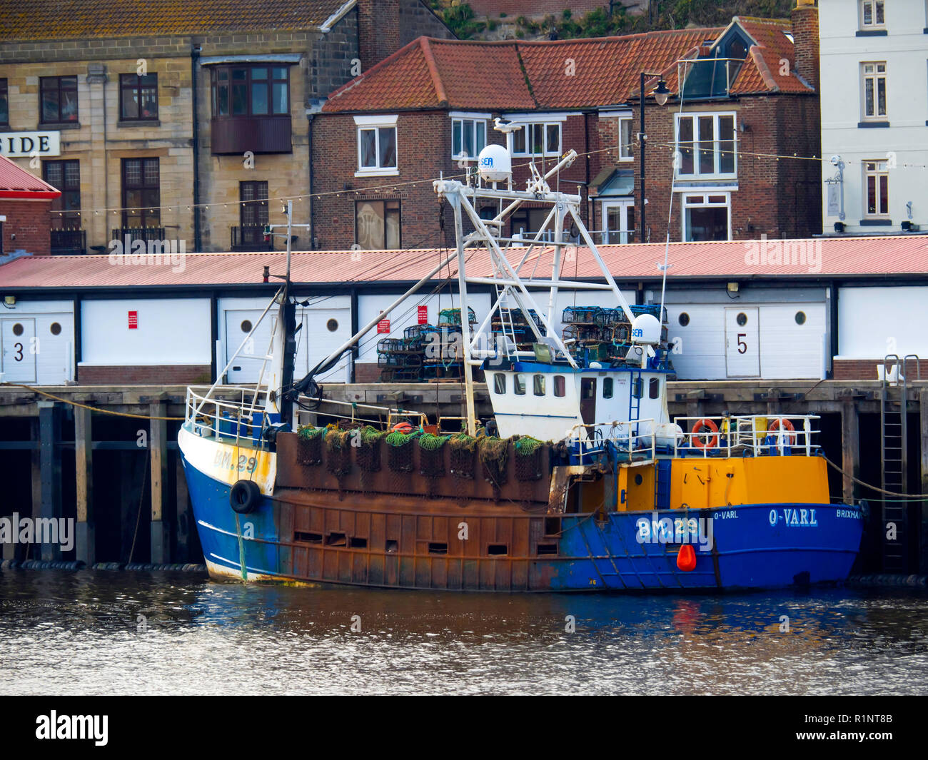 Blue specialised Scallop fishing boat O Varl of Brixhan BM 29 moored at the fish quay Whitby, North Yorkshire. Stock Photo