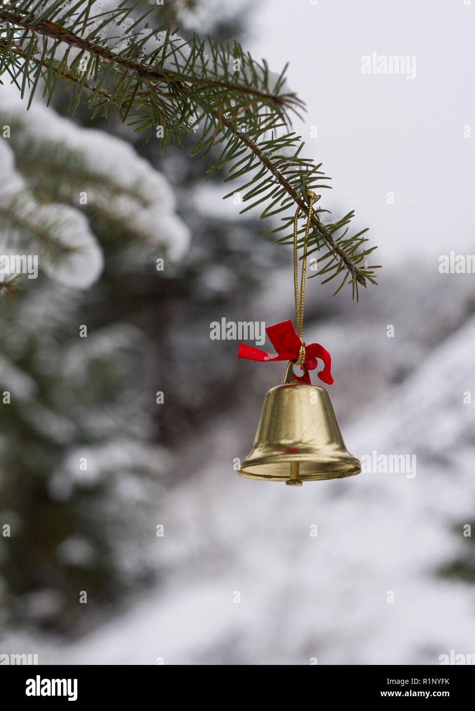 Golden metal bell with red ribbon hanging on the branch of a Fir tree outdoors on a snowy winter day Stock Photo