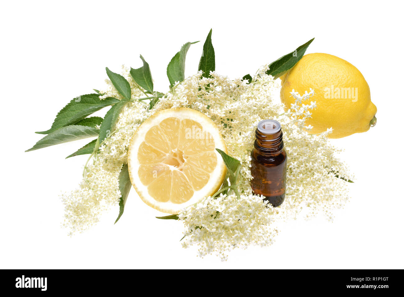 Elderflower, elderflower oil with lemon and leaves isolated Stock Photo