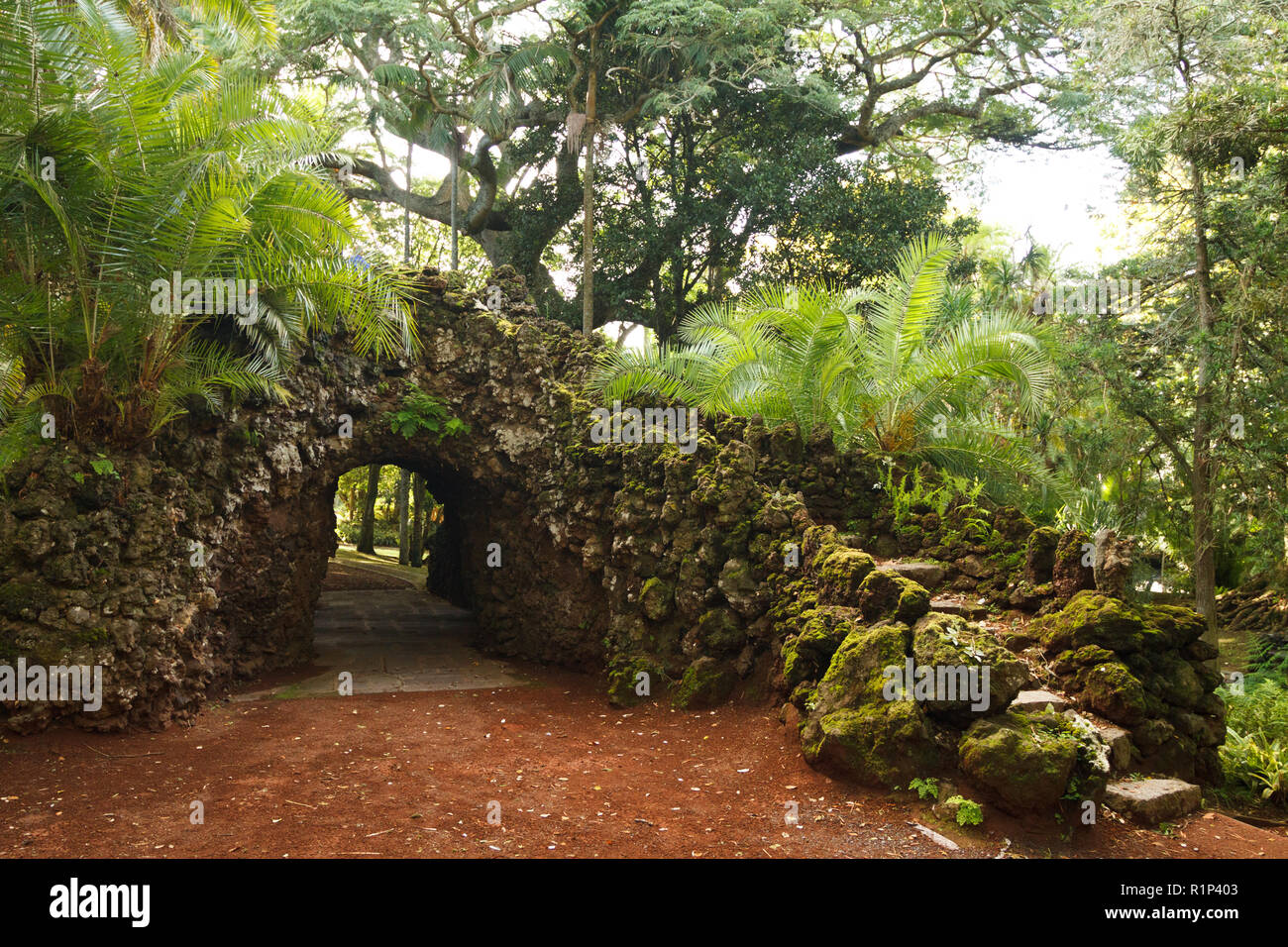 Jardim Antonio Borges Botanical park in Ponta Delgada, Sao Miguel