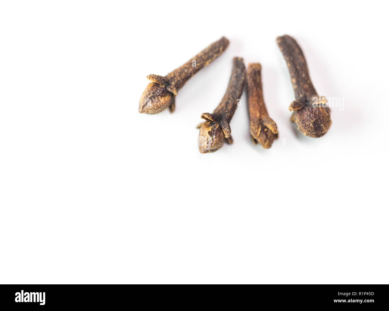clove spice isolated food ingredient for flavour Stock Photo Alamy