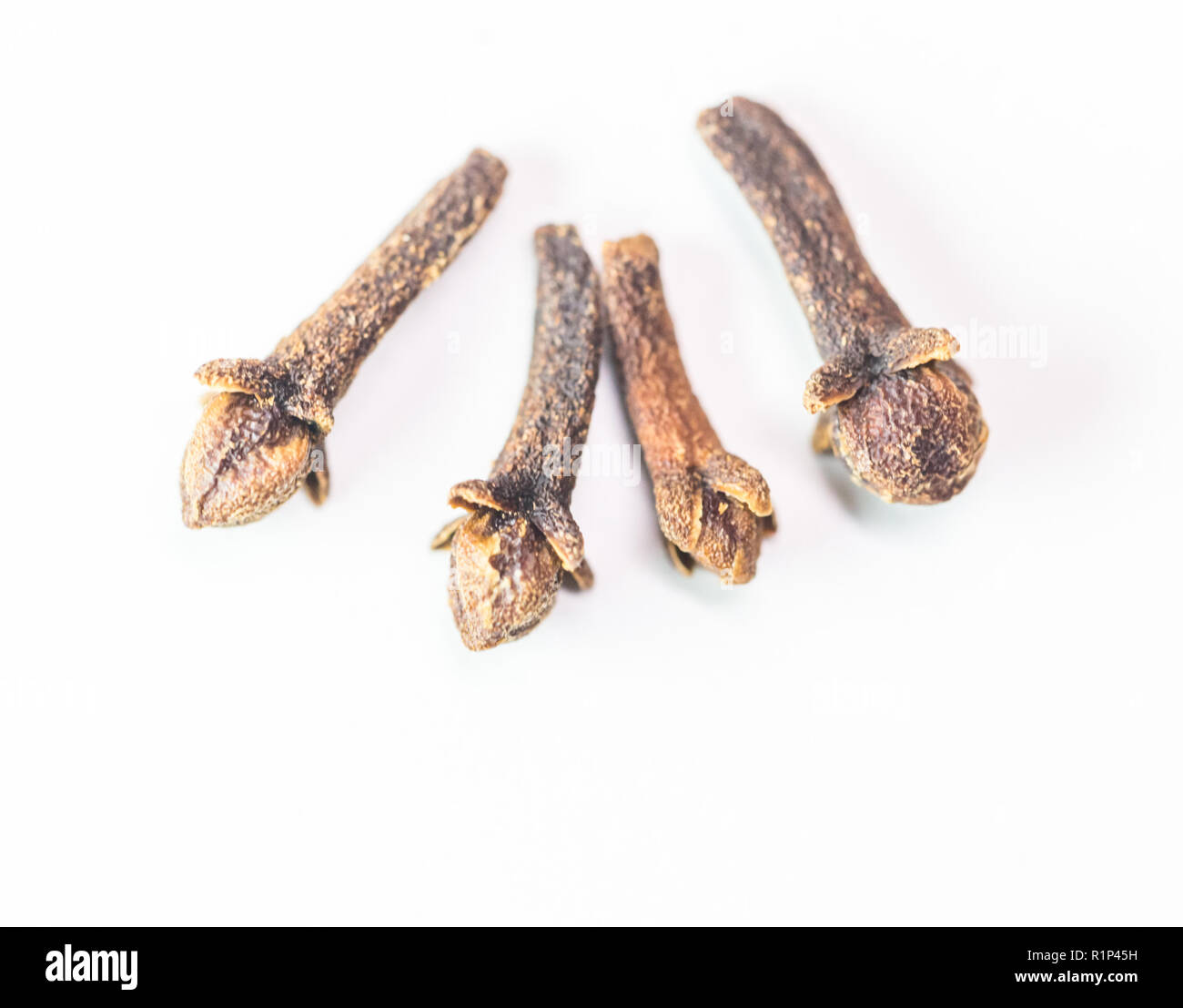 clove spice isolated food ingredient for flavour Stock Photo Alamy