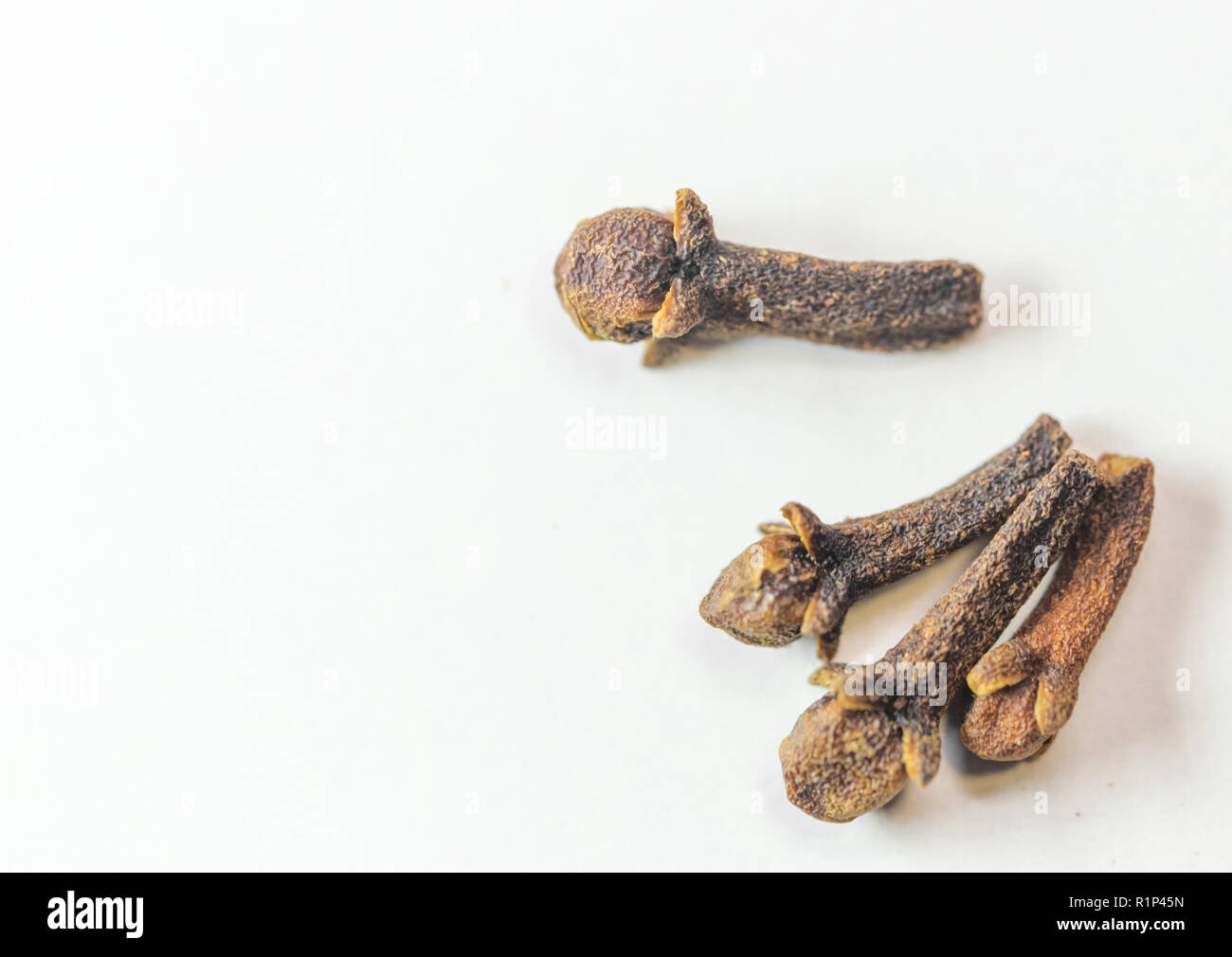 clove spice isolated food ingredient for flavour Stock Photo Alamy