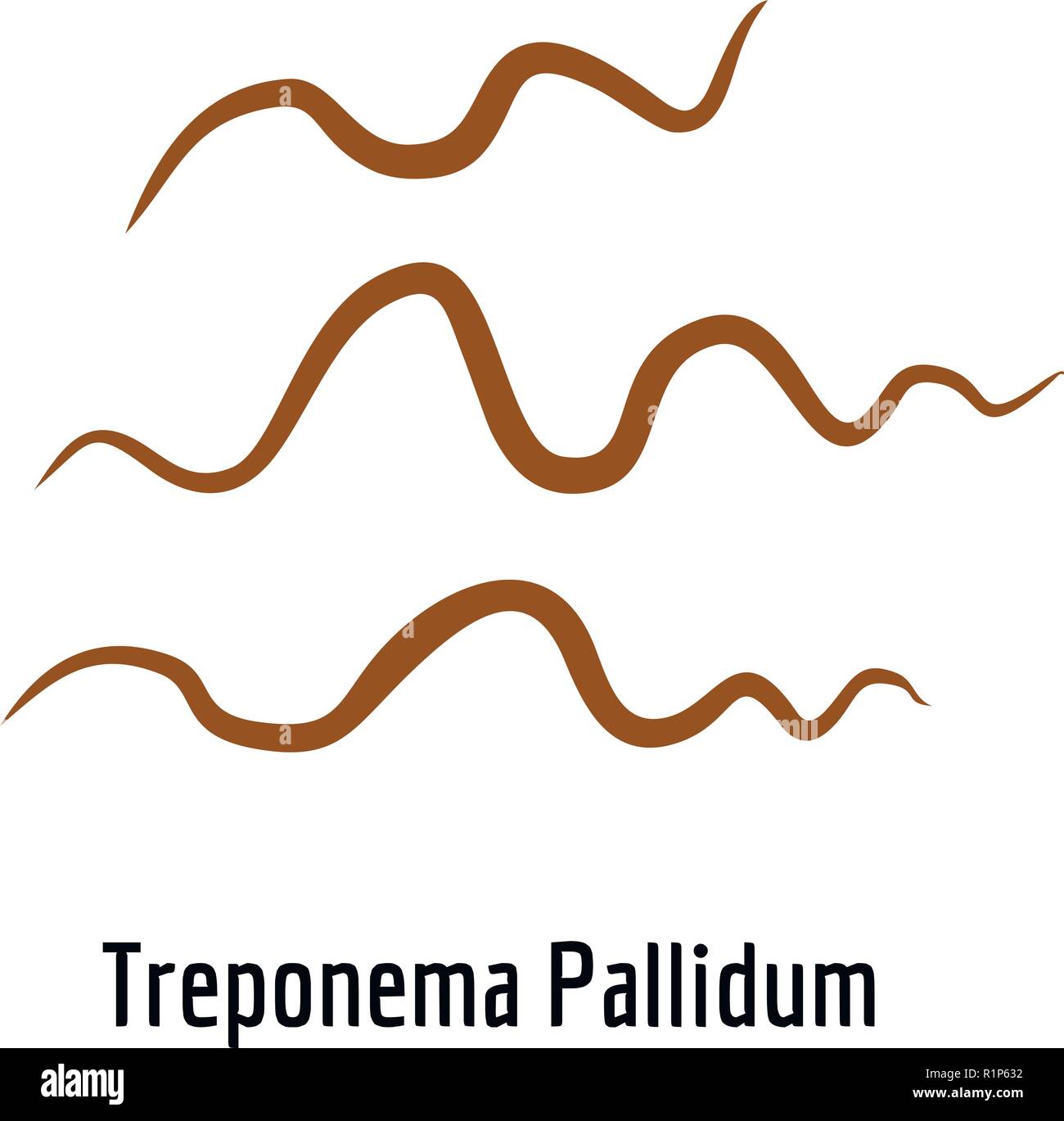 Treponema Pallidum icon. Cartoon illustration of treponema pallidum vector icon for web. Stock Vector