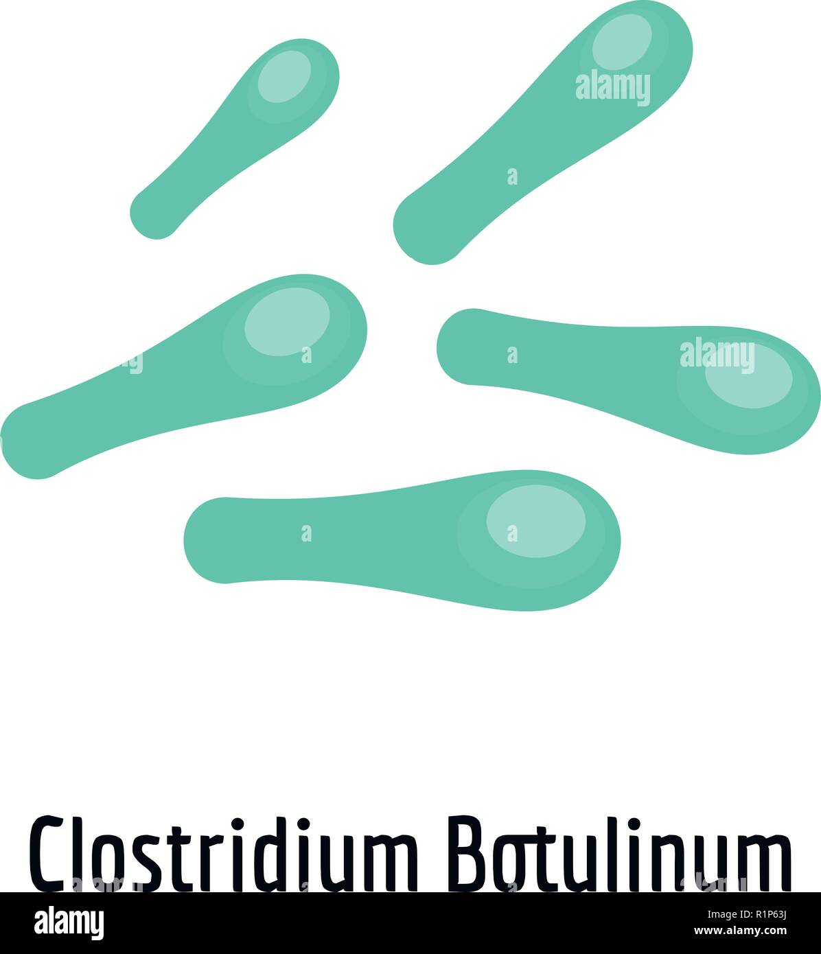 Clostridium botulinum icon. Cartoon illustration of clostridium botulinum vector icon for web. Stock Vector