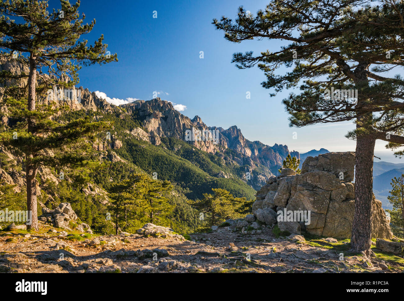Aiguilles de Bavella, view at sunrise from Col de Bavella pass, Corse-du-Sud, Corsica, France Stock Photo