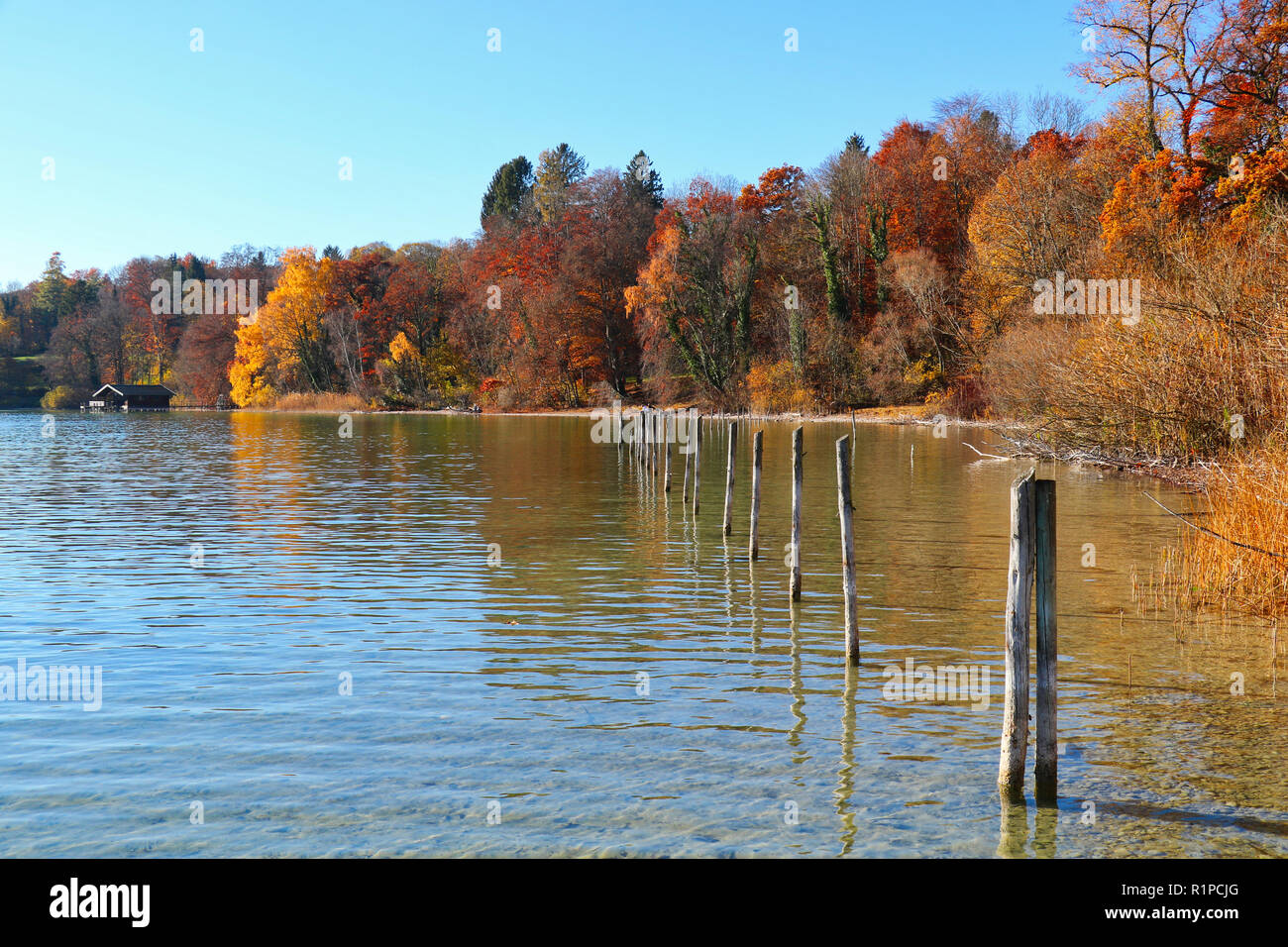 Lakeside view in Autumn Stock Photo