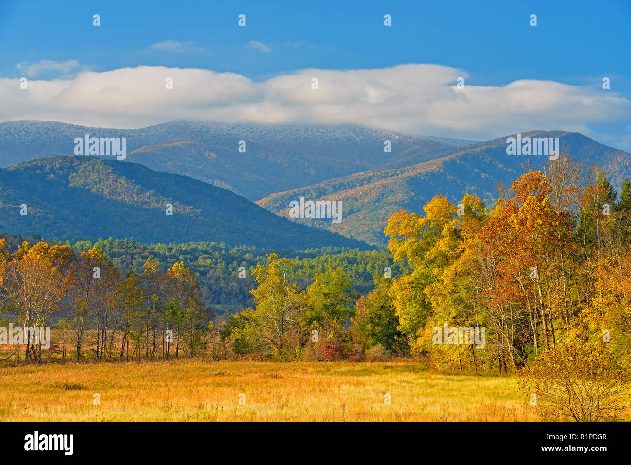 Early autumn foliage in Cades Cove, Great Smoky Mountains National Park, Tennessee, USA Stock Photo