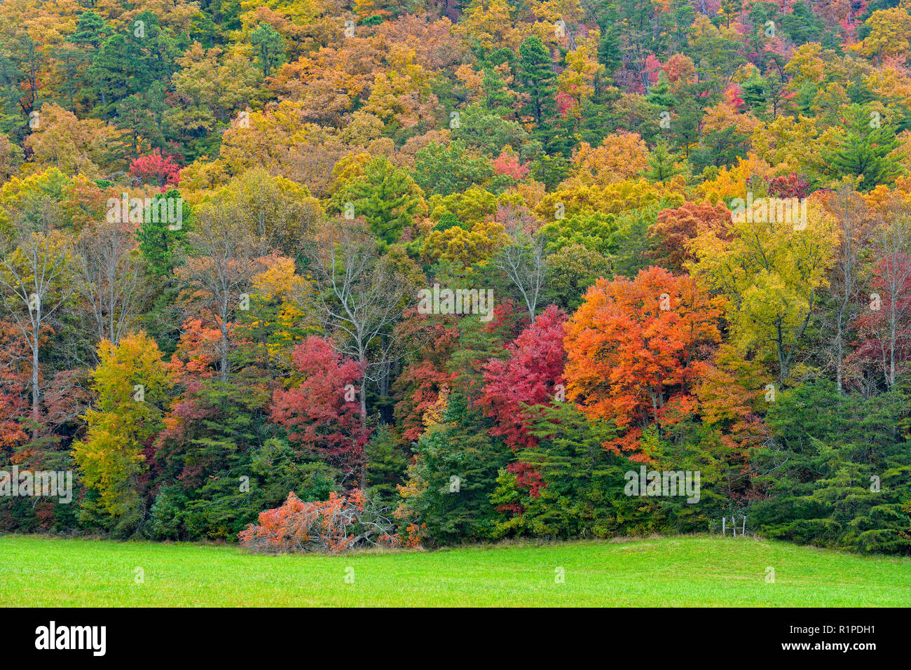 Autumn colour in Cades Cove, Great Smoky Mountains National Park, Tennessee, USA Stock Photo