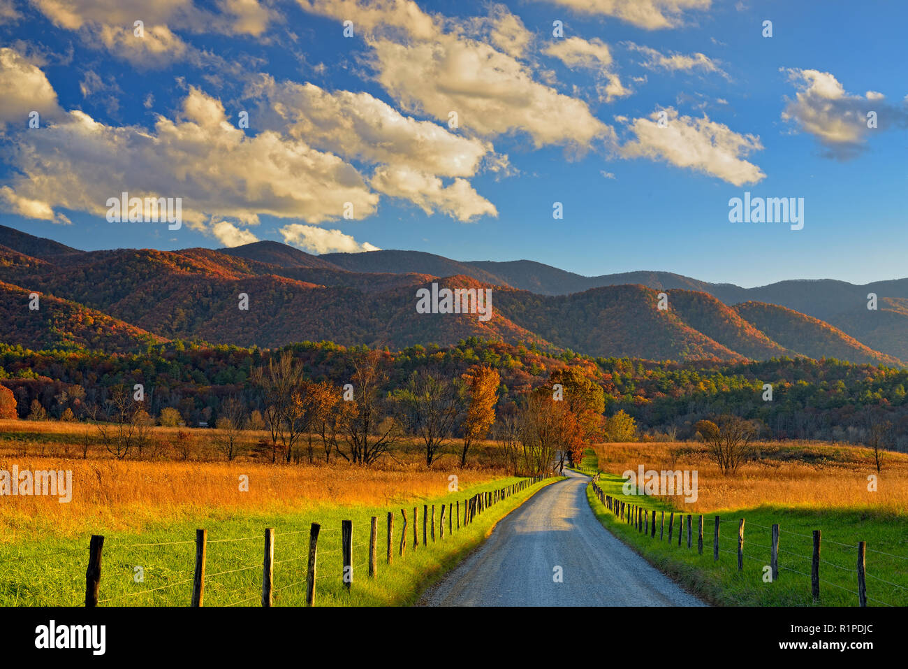Autumn colour in Cades Cove- Hyatt Lane, Great Smoky Mountains National Park, Tennessee, USA Stock Photo