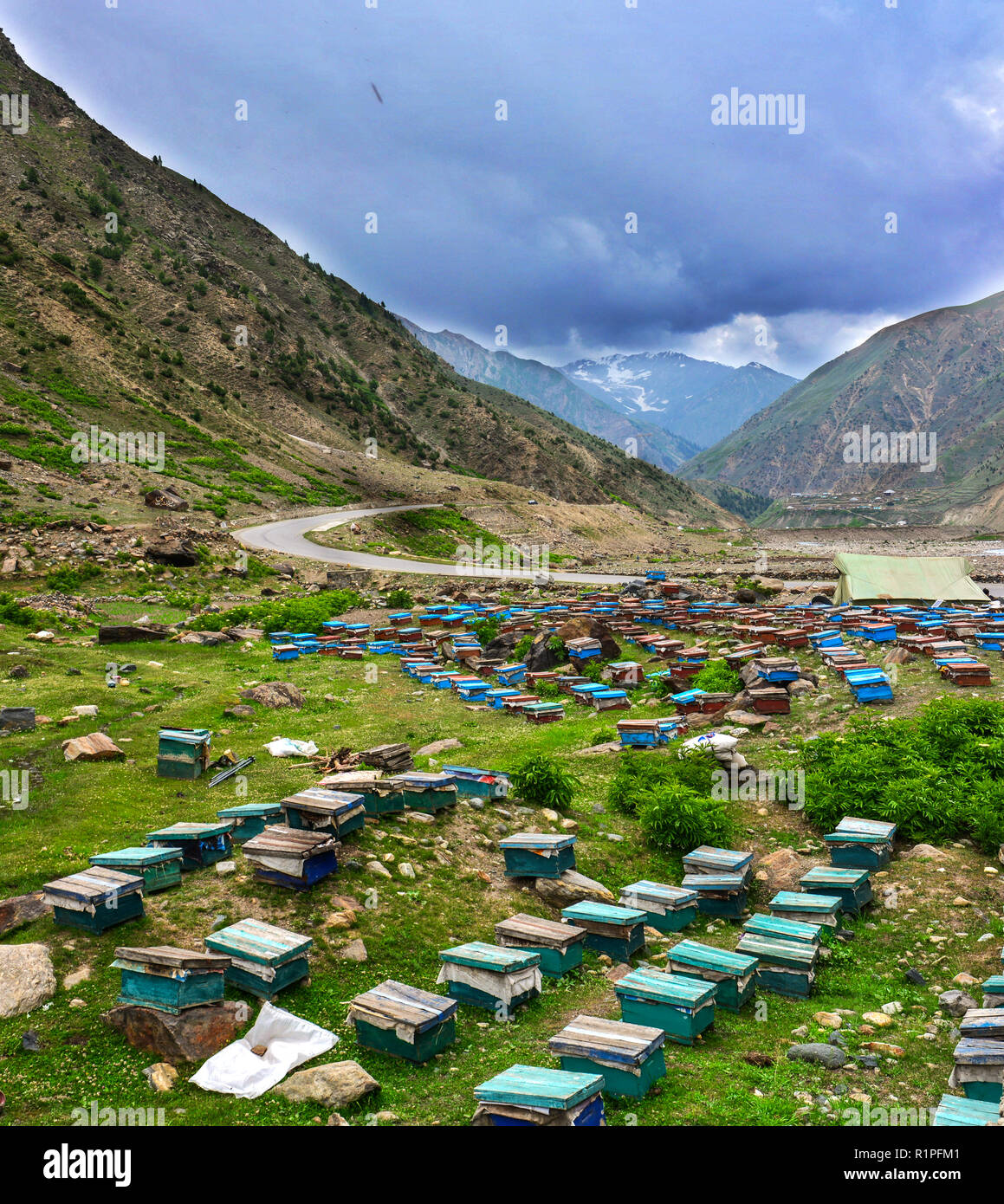 Bee hives and lake hi-res stock photography and images - Alamy