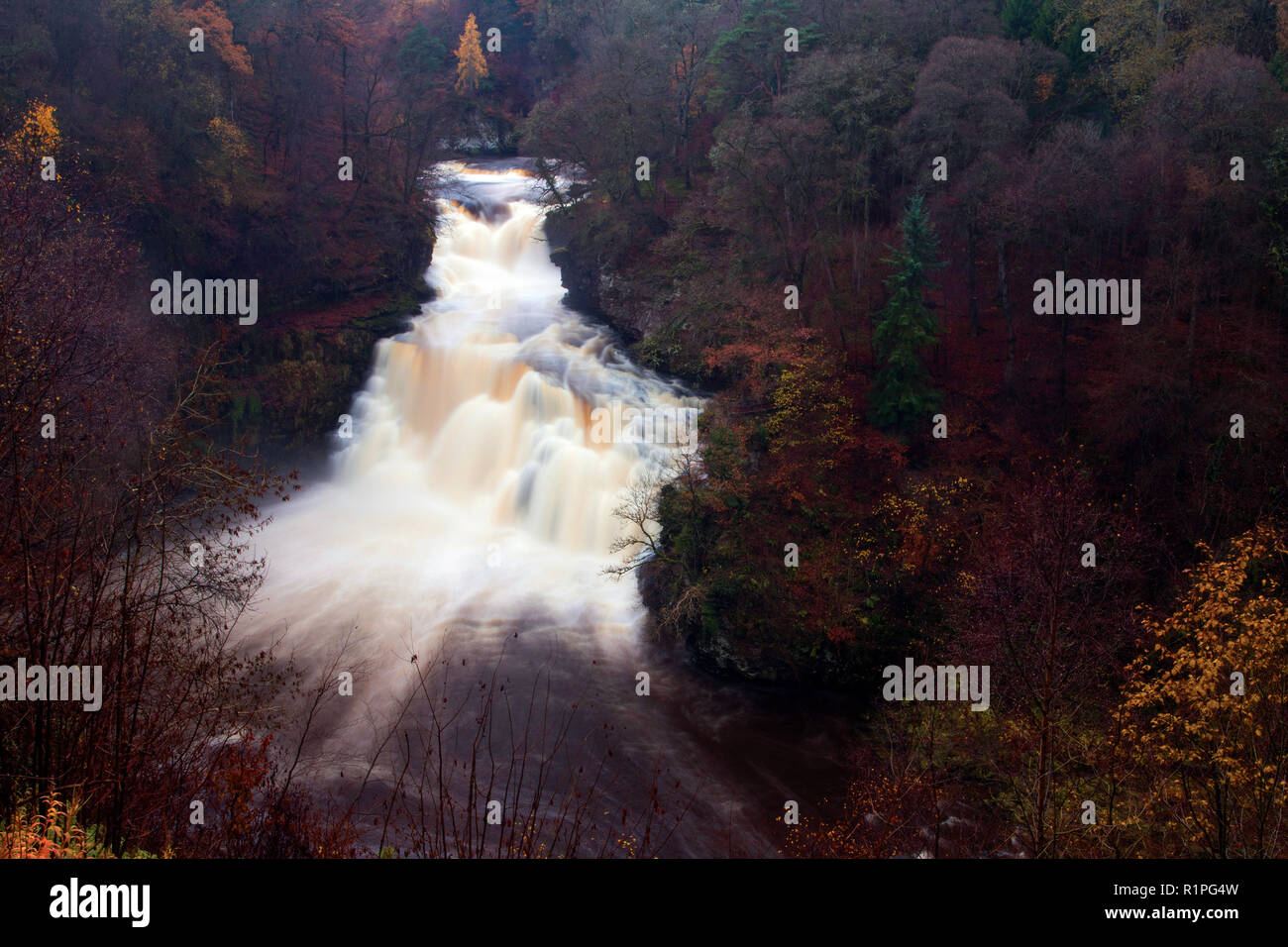 The dramatic 27 metre high Corra Linn and the River Clyde, New Lanark, South Lanarkshire Stock Photo