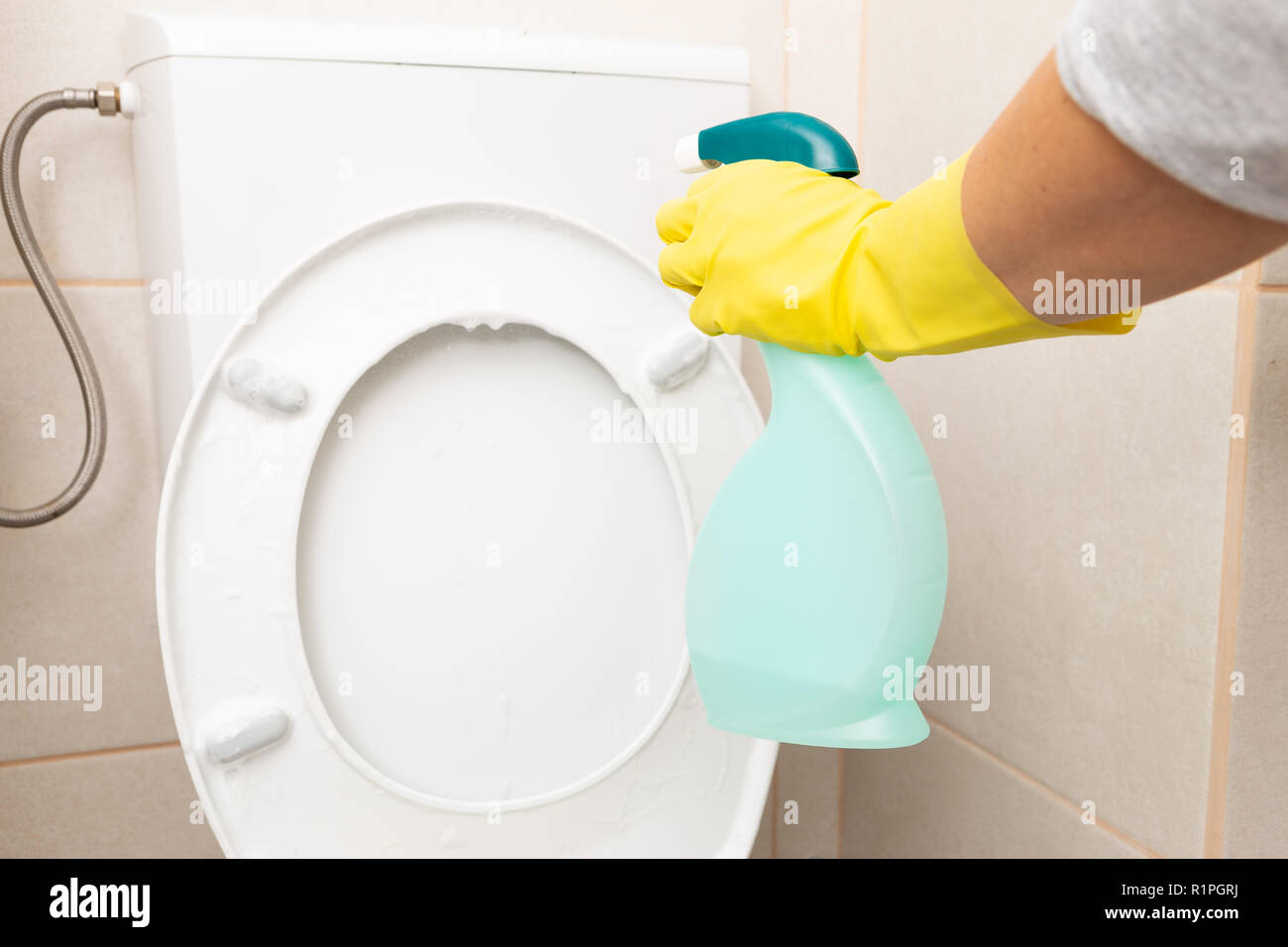 Person spraying white toilet seat and reservoir wearing yellow sanitary gloves as cleaning concept Stock Photo