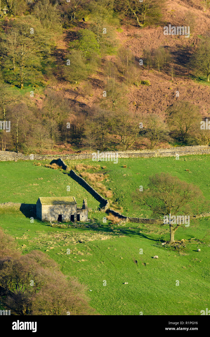 High view of isolated, dilapidated, ruined field barn lit by sun on hillside slope & farmland in scenic Yorkshire Dales - North Yorkshire, England, UK Stock Photo