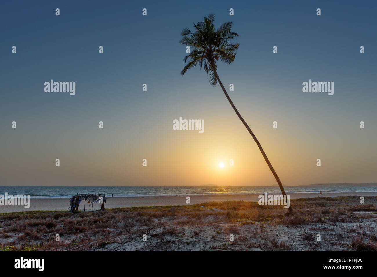 Palm trees at sunset on exotic beach Stock Photo