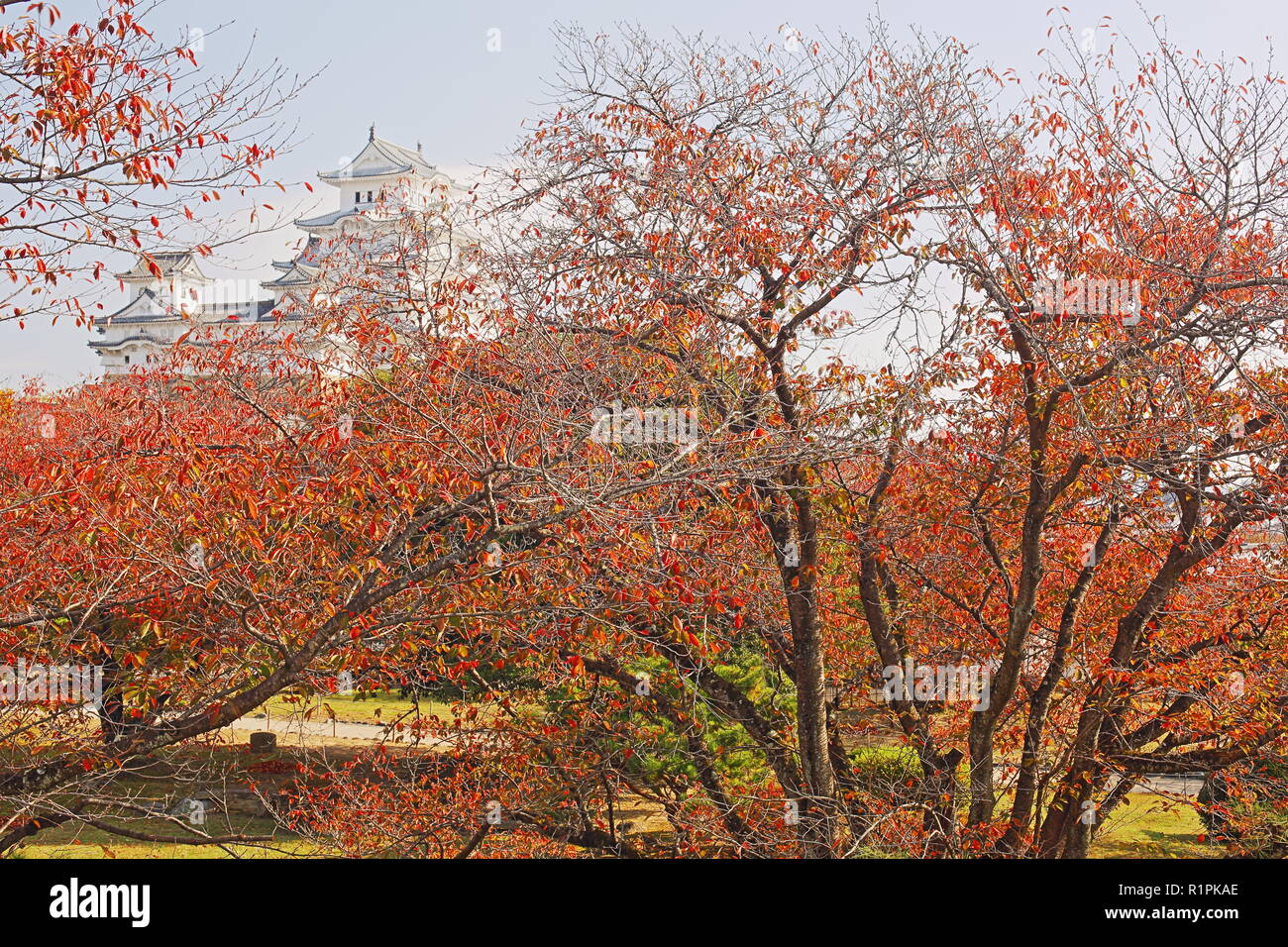 Himeji Castle, inspiration for Ninja films, location of James Bond You