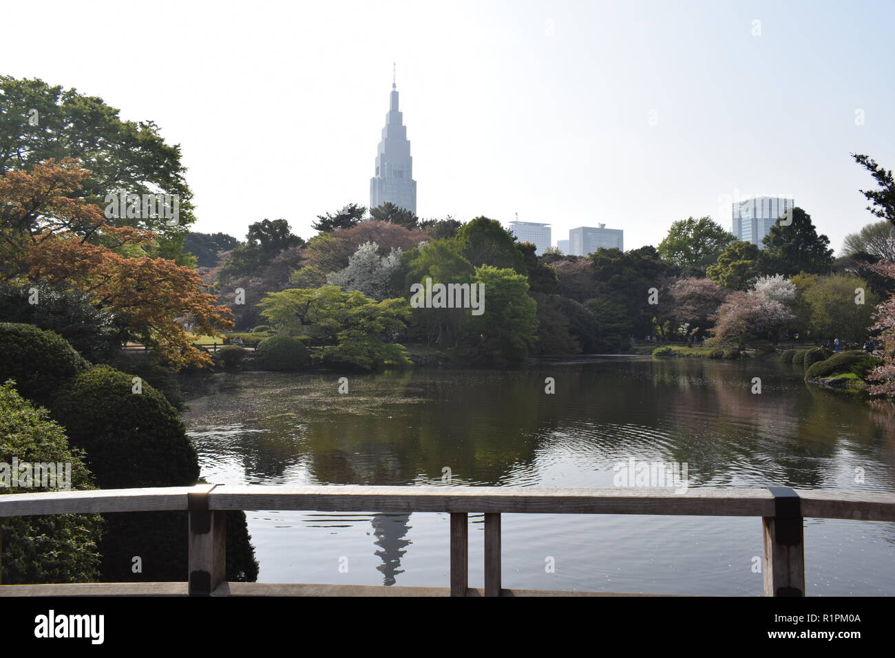 Japan views dragon and pagoda and tokio Shinjuku Gyoen garden Stock Photo