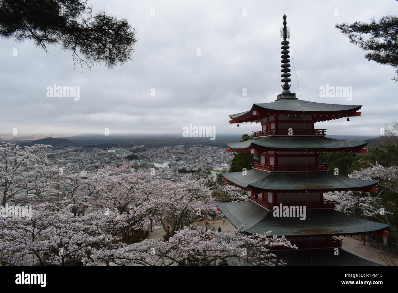 Japan views dragon and pagoda and tokio Shinjuku Gyoen garden Stock Photo