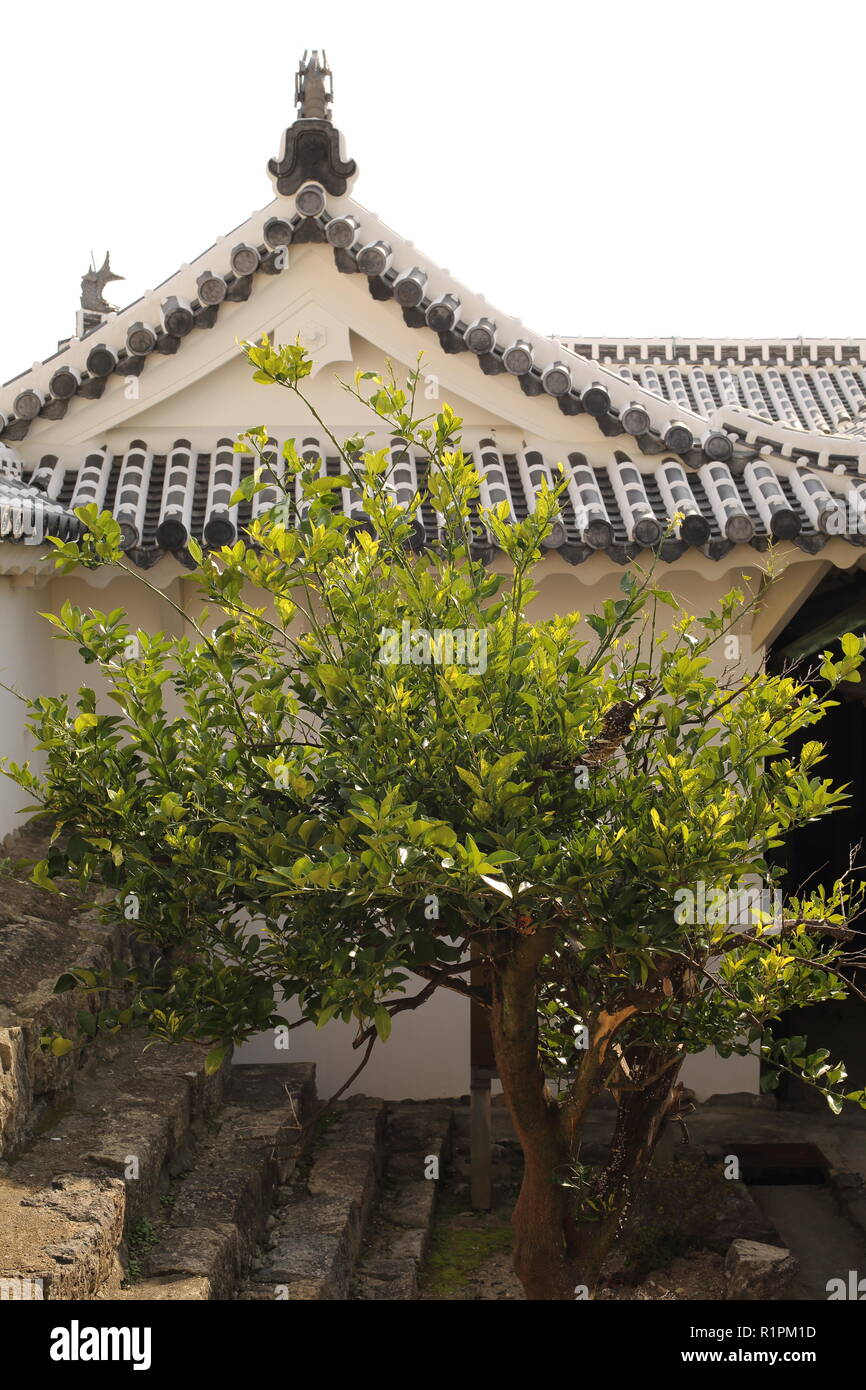 Himeji Castle, inspiration for Ninja films, location of James Bond You