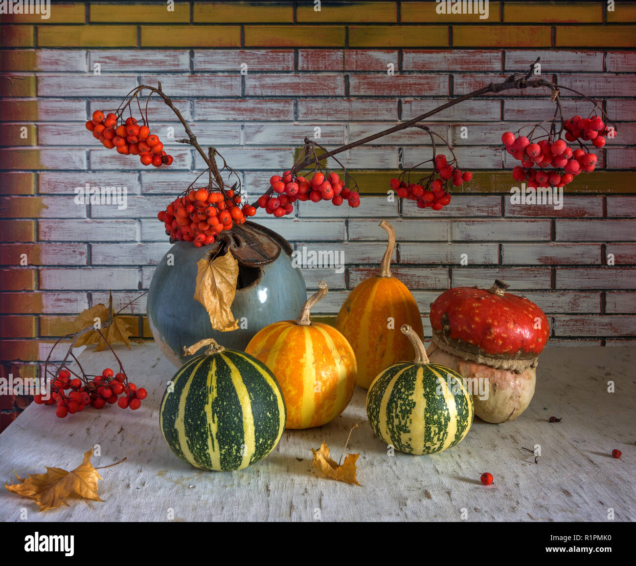still life with pumpkins and rowan. vintage retro Stock Photo - Alamy