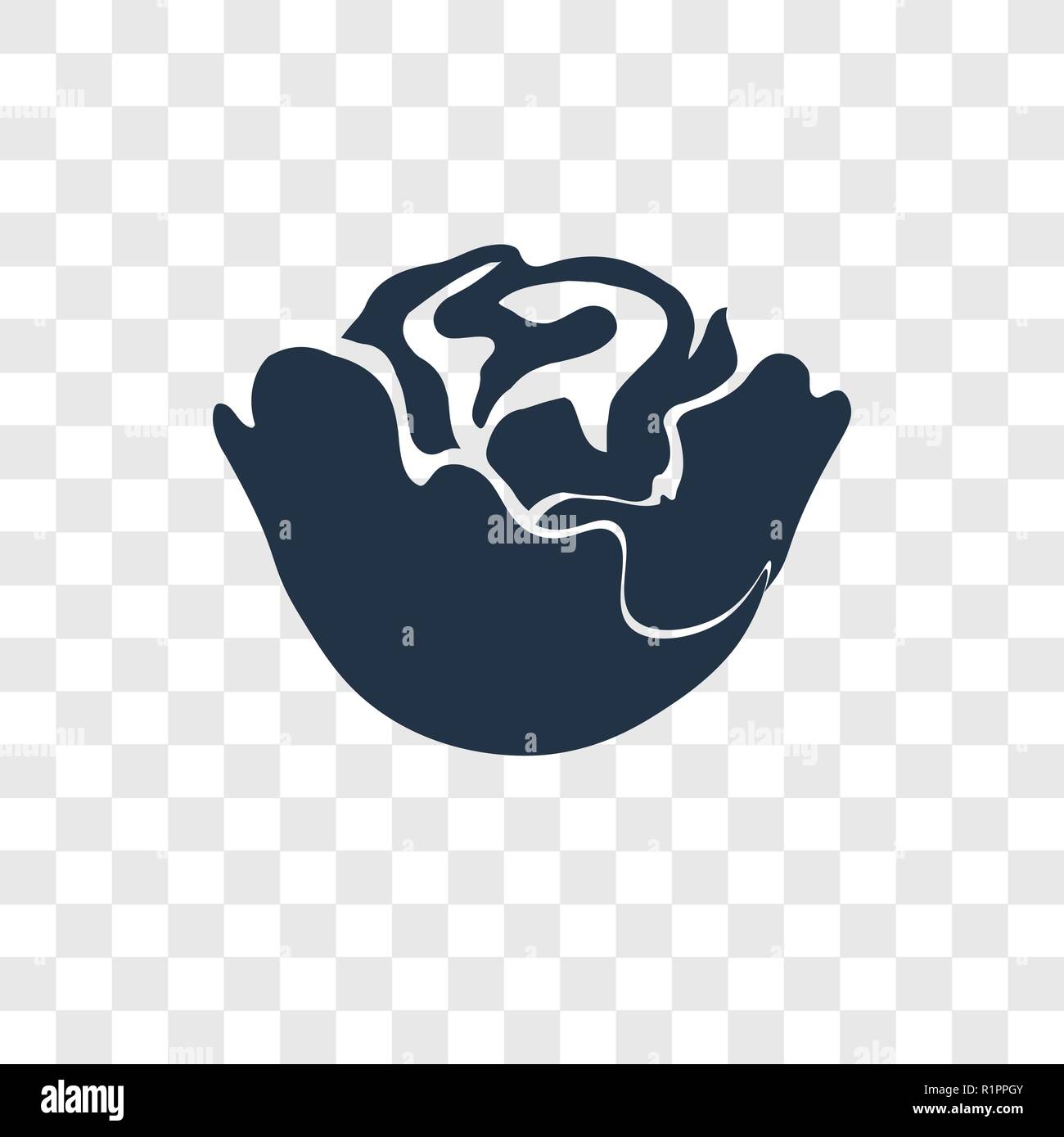Cabbage vector icon isolated on transparent background, Cabbage ...
