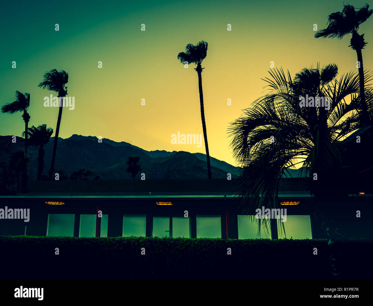Mountains, Palm Trees and Motel Lights in Palm Springs at Sunset with Copy Space Stock Photo