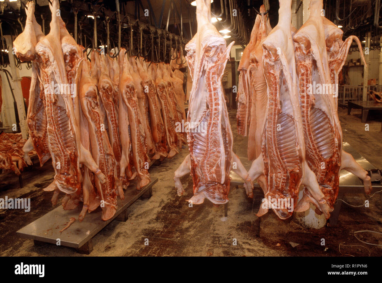 1980s photography shop hi-res stock photography and images - Alamy