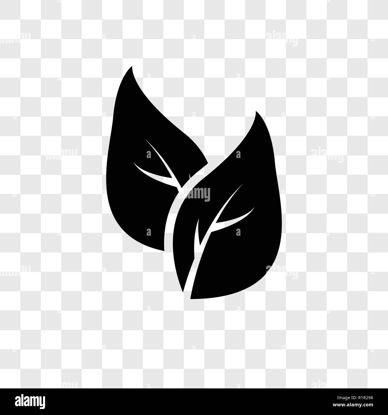 Autumn Tree Leaf Transparent Black And White Stock Photos Images