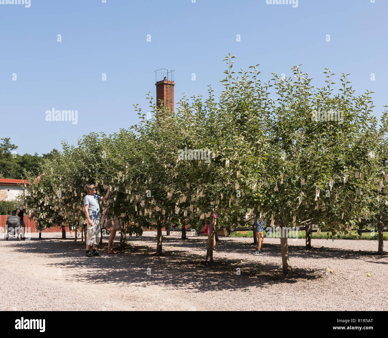 Yoko Ono, Wish Trees for Wanås, 2011 at The Wanås Foundation. FOR ...