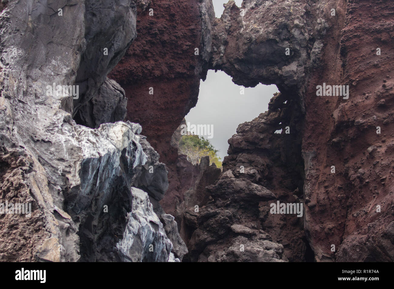Galapagos landscapes hi-res stock photography and images - Alamy