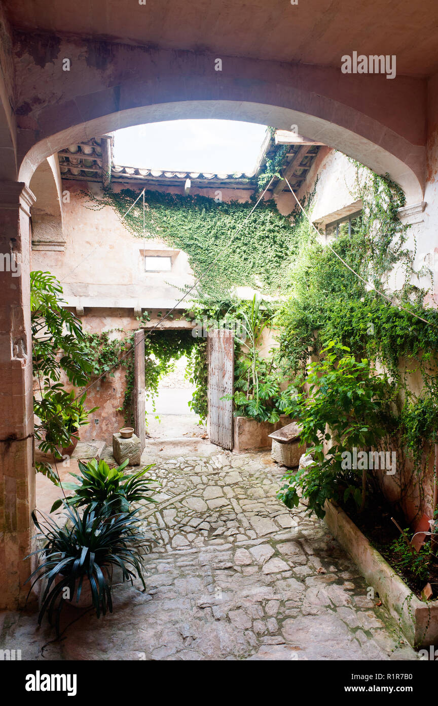 Plants in rustic Mediterranean courtyard Stock Photo