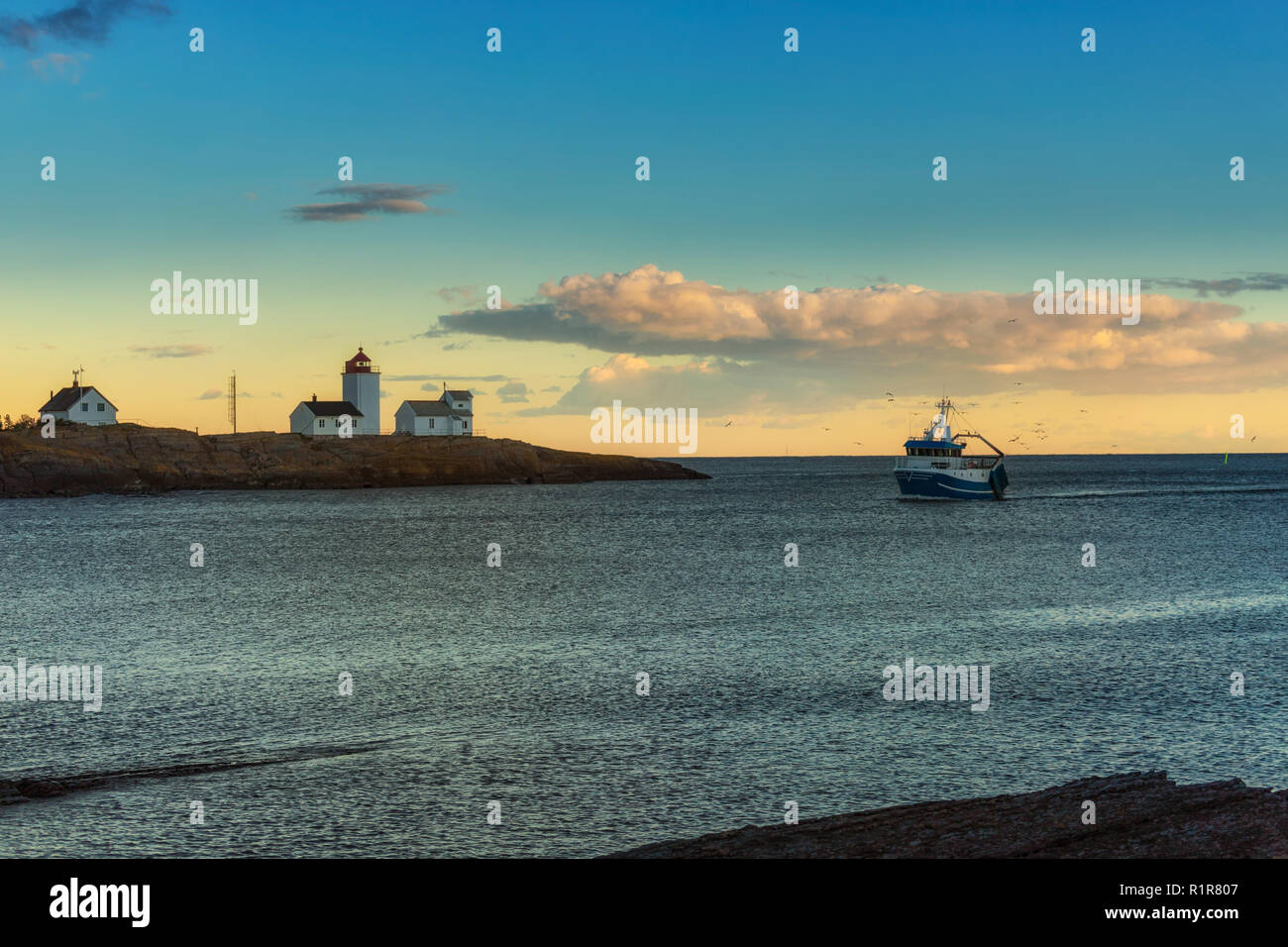 Ein Fischerboot bei der Einfahrt in den Hafen von Langesund. Bei der Einfahrt zum Sonnenuntergang kann man schön verfolgen, wie sich die Möwen um die Stock Photo