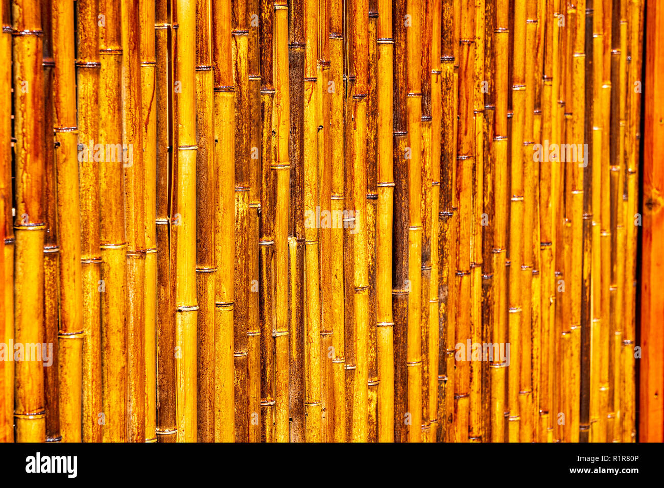 Bamboo fence creates graphic patterns Stock Photo