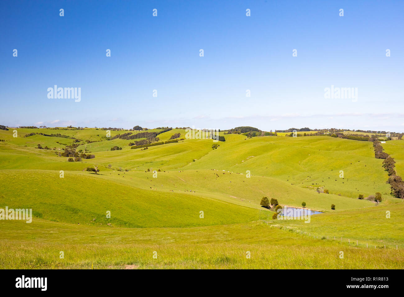 Strzelecki Ranges Landscape Stock Photo - Alamy