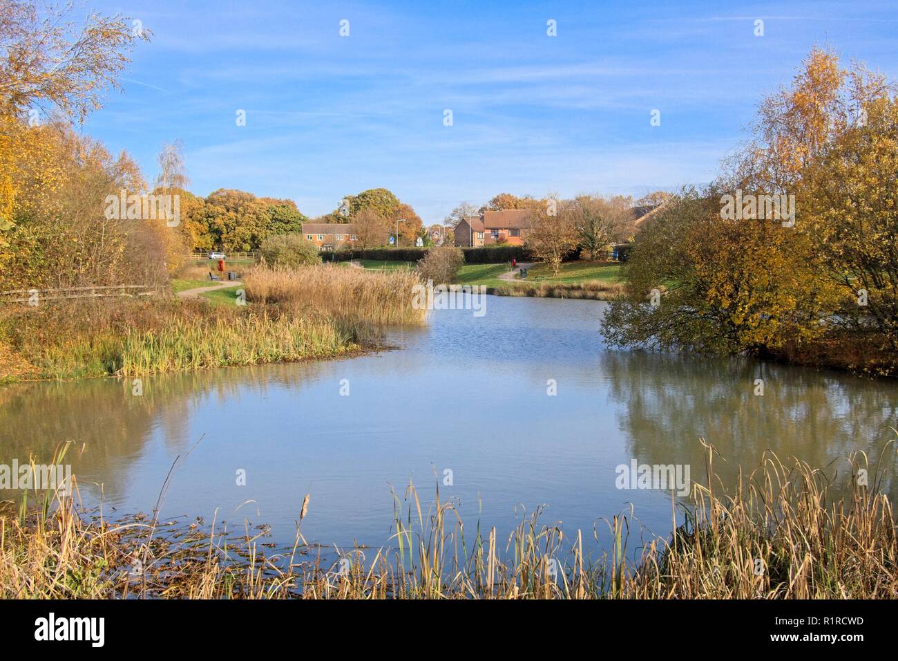 Hailsham country park hi-res stock photography and images - Alamy