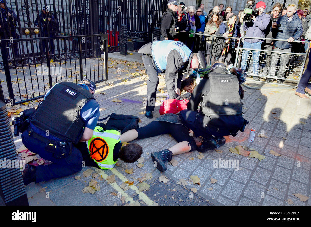 London, UK.  14th November. Several people are arrested as Environmental campaigners protest at the gates of Downing Street before a crucial cabinet meeting to discuss Brexit Credit: PjrFoto/Alamy Live News Stock Photo