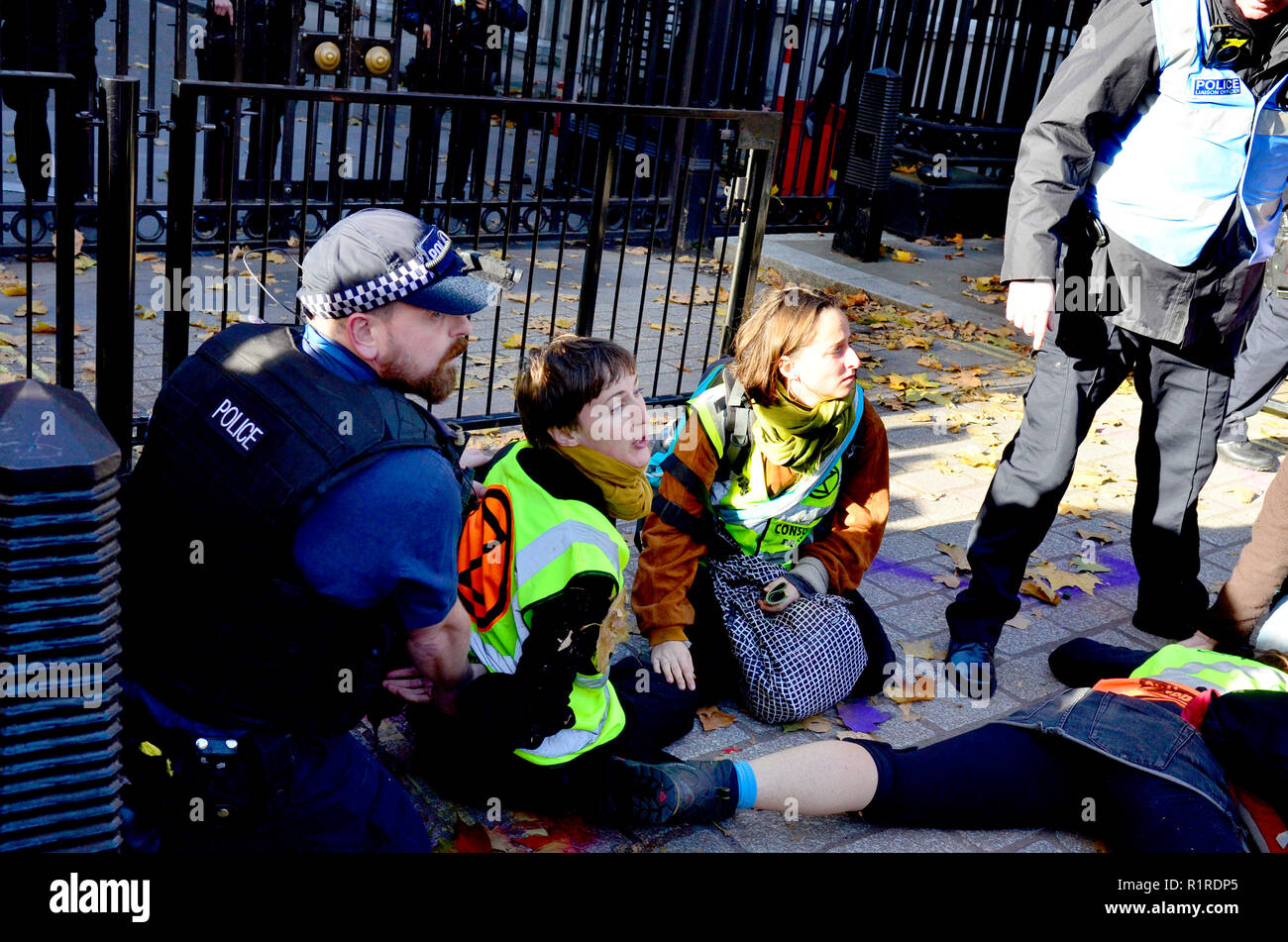 London, UK.  14th November. Several people are arrested as Environmental campaigners protest at the gates of Downing Street before a crucial cabinet meeting to discuss Brexit Credit: PjrFoto/Alamy Live News Stock Photo