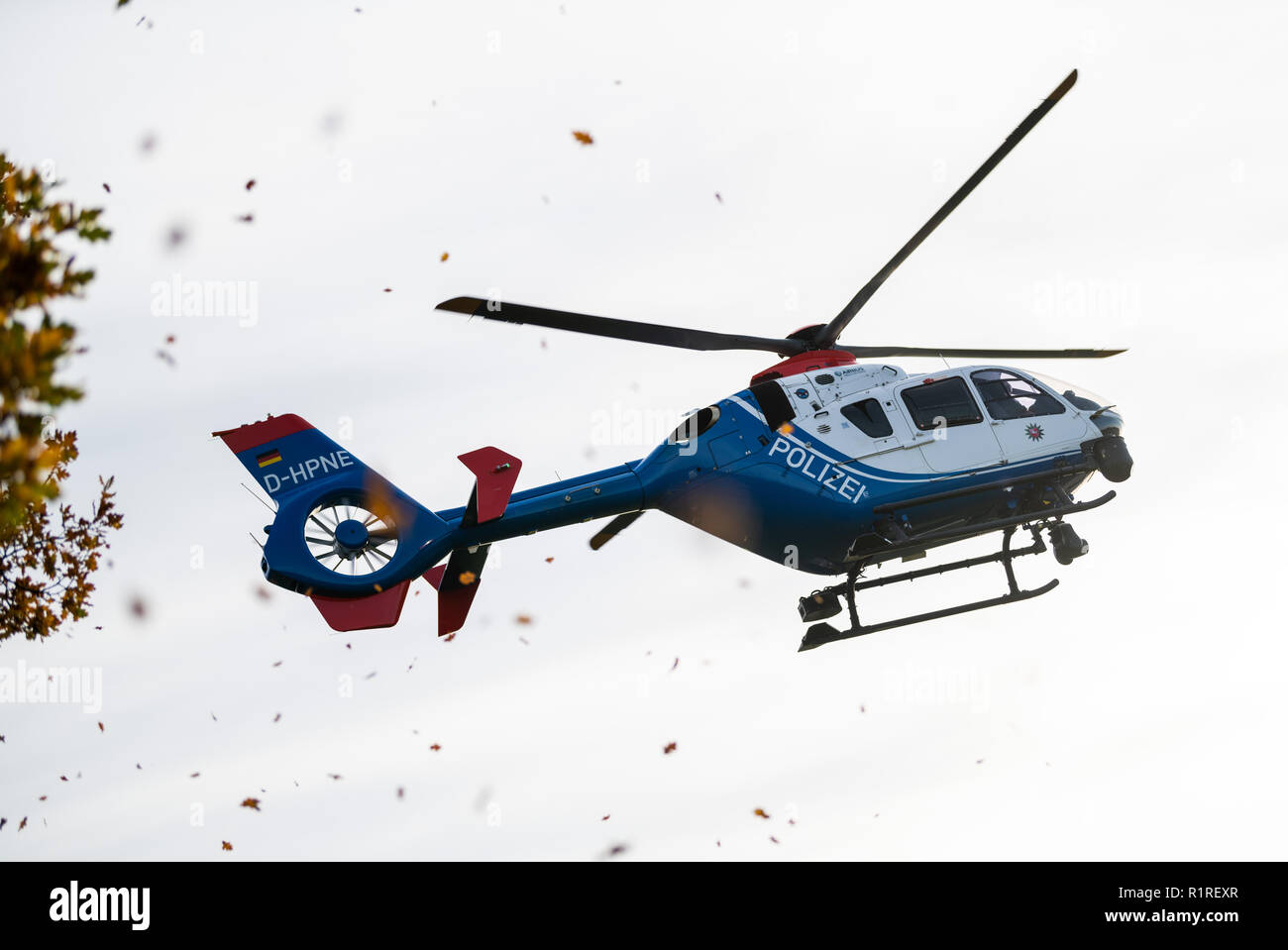 Rastede, Germany. 14th Nov, 2018. A helicopter of the police of Lower Saxony flies in a low flight past a tree and blows its leaves through the air. Credit: Mohssen Assanimoghaddam/dpa/Alamy Live News Stock Photo