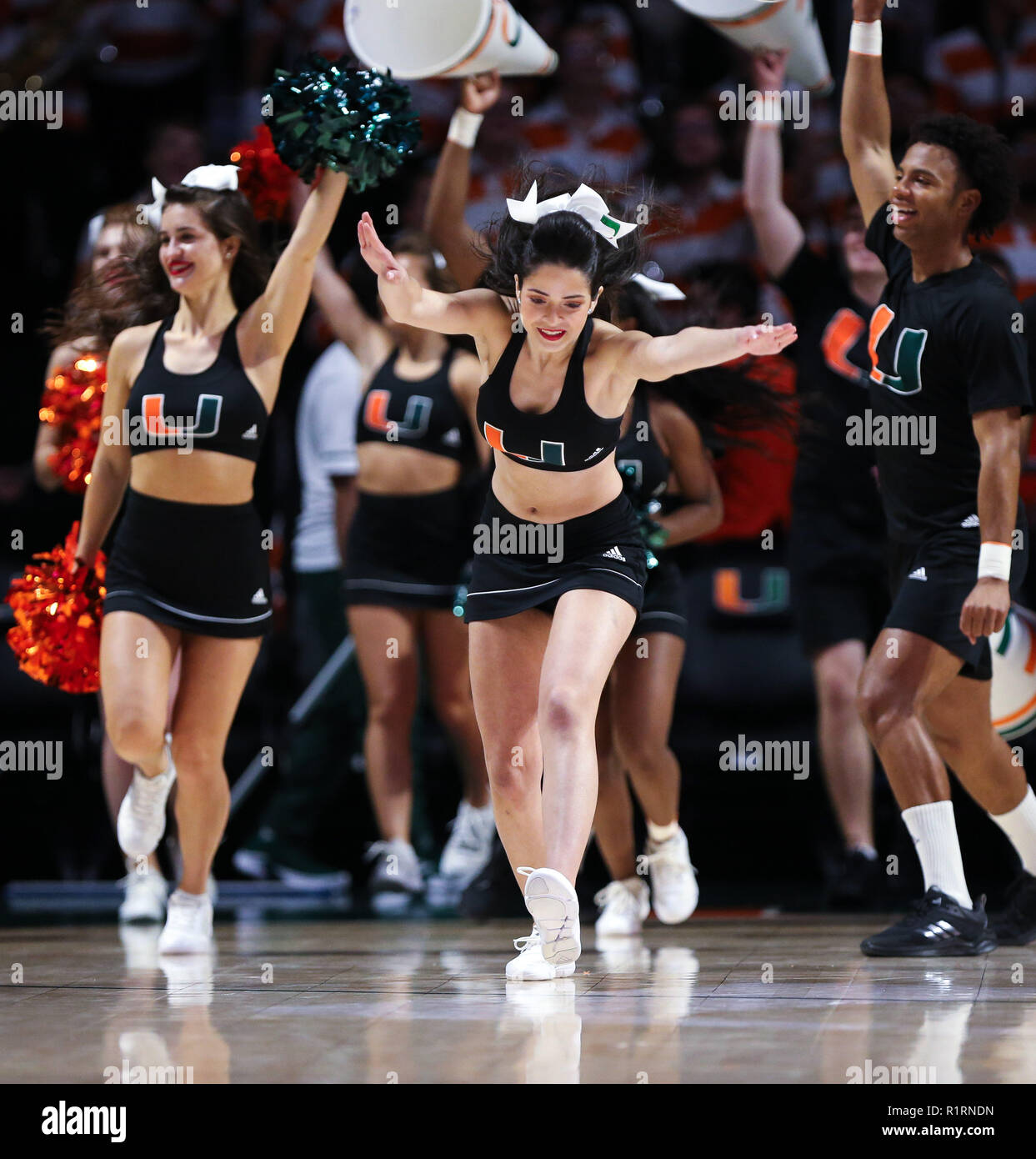 Coral Gables, Florida, USA. 13th Nov, 2018. Miami Hurricanes cheerleaders perform during the
