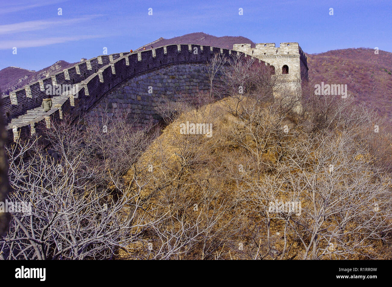 The Great Wall Of China Mutianyu In Winter Blue Sky Landscape The great wall of china mutianyu in winter blue sky landscape
