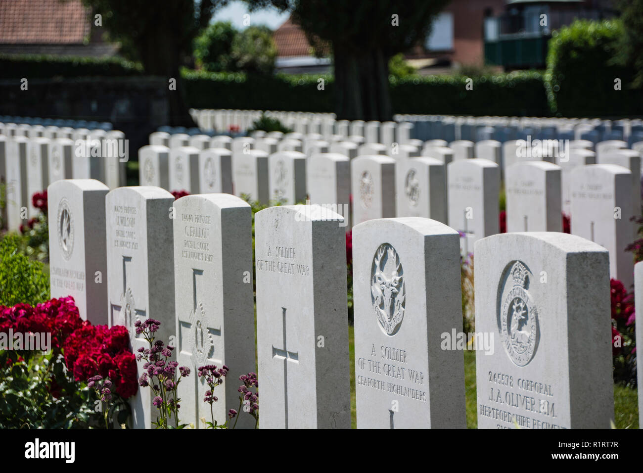 Headstones of war graves in the cemetery in Flanders. Stock Photo