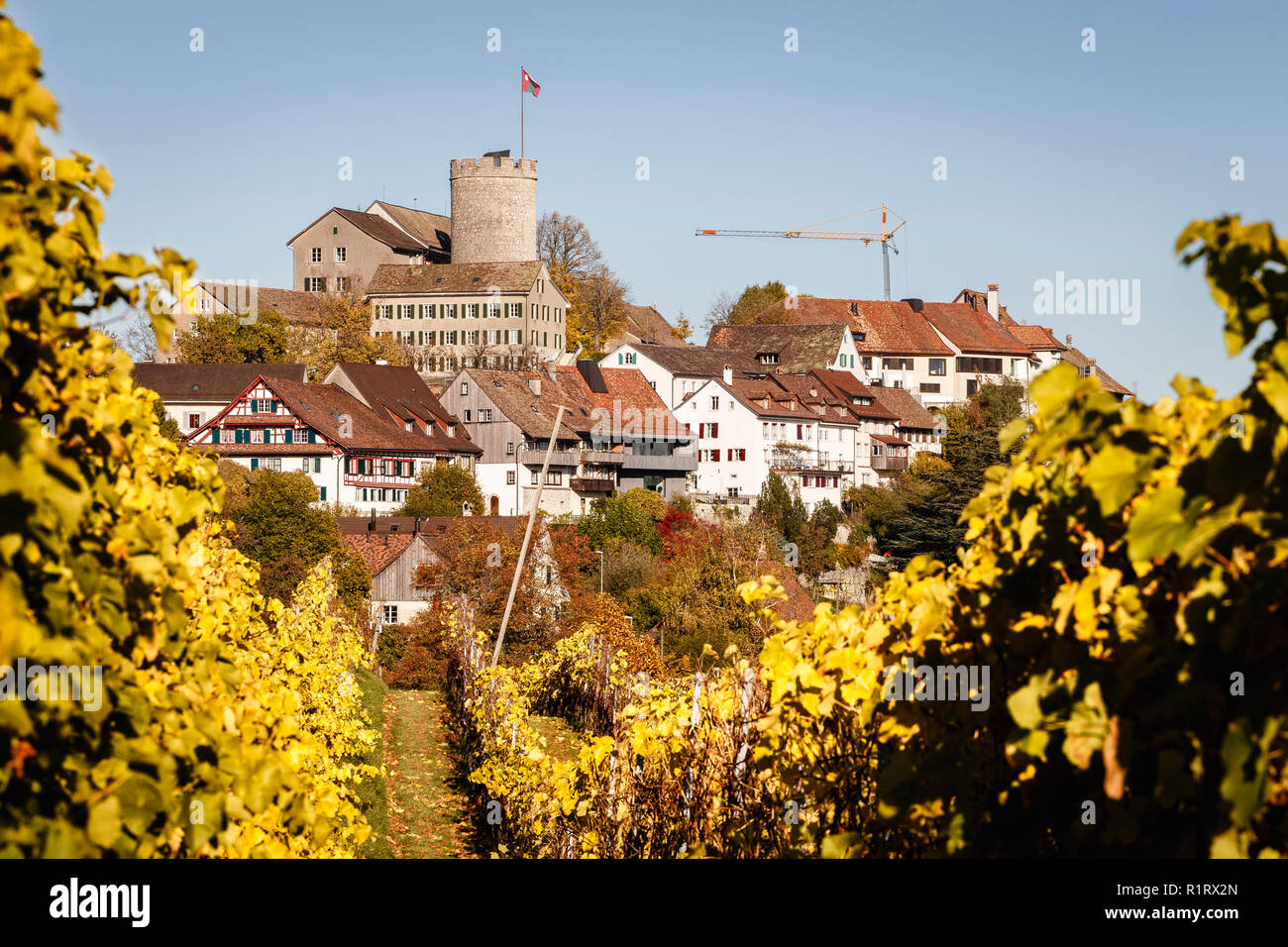 Autumnal vineyard in Regensberg, Canton of Zurich, Switzerland Stock Photo