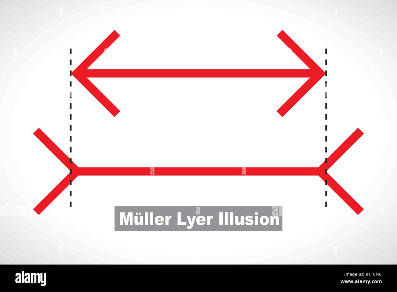 Muller-Lyer optical illusion illustration Stock Vector