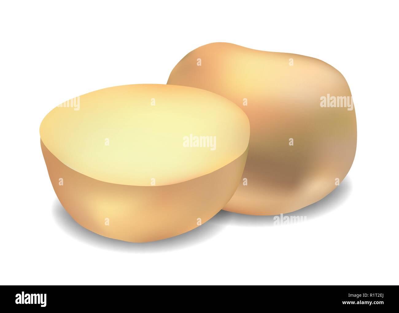 Realistic potatoes vegetable illustration. Isolated on white background. Stock Vector